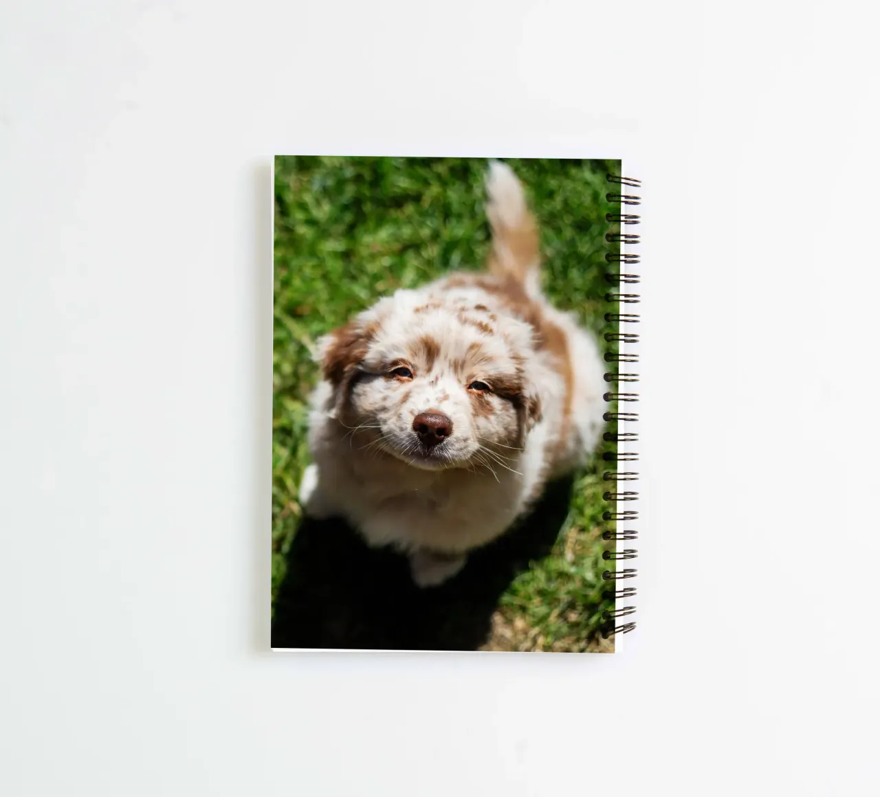 puppy smiling on the grass spiral notebook by animal story home
