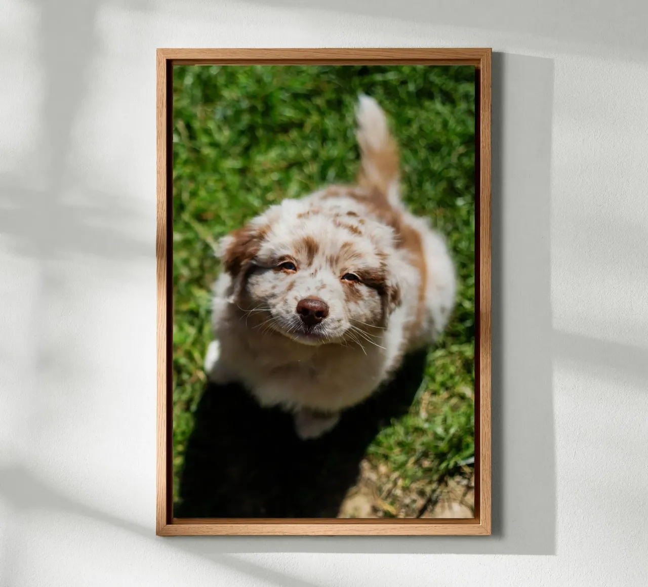 cucciolo che sorride sull'erba alluminio dibond da animal story home