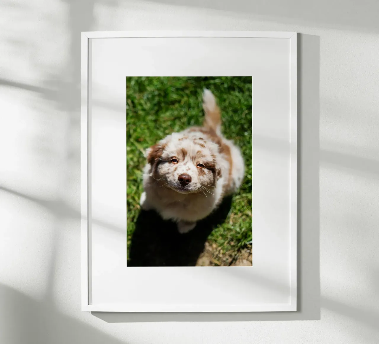 cucciolo che sorride sull'erba carta hahnemühle da animal story home