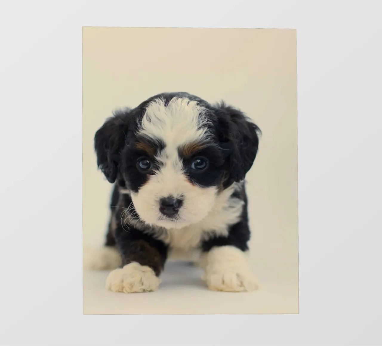 portrait d'un chiot enjoué bâche pvc de animal story home