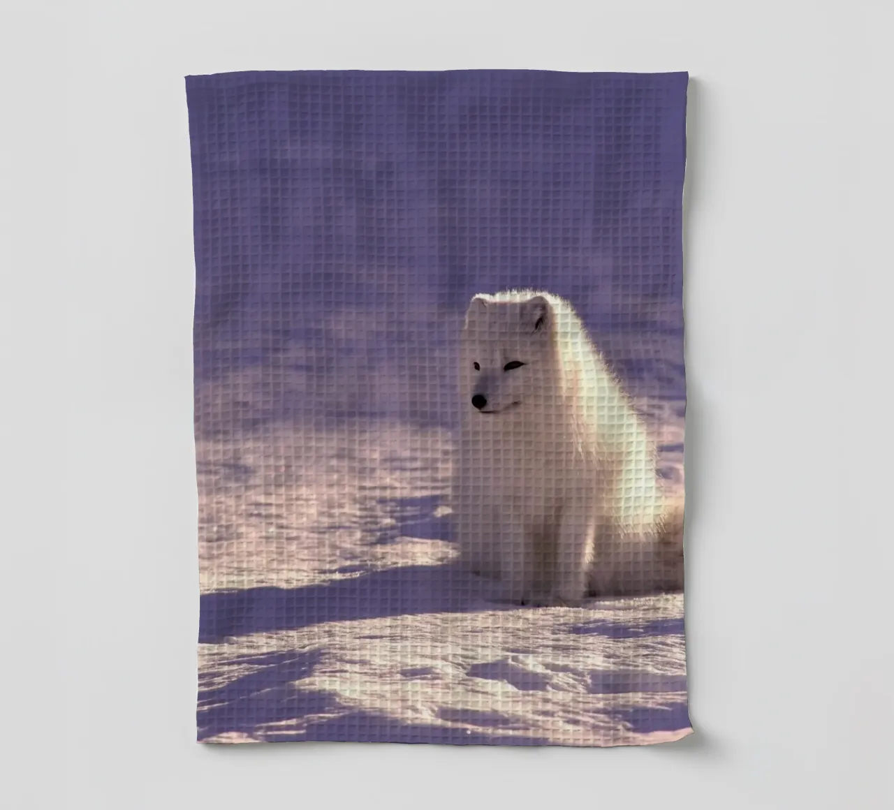 volpe artica sulla neve canovaccio da cucina da animal story home