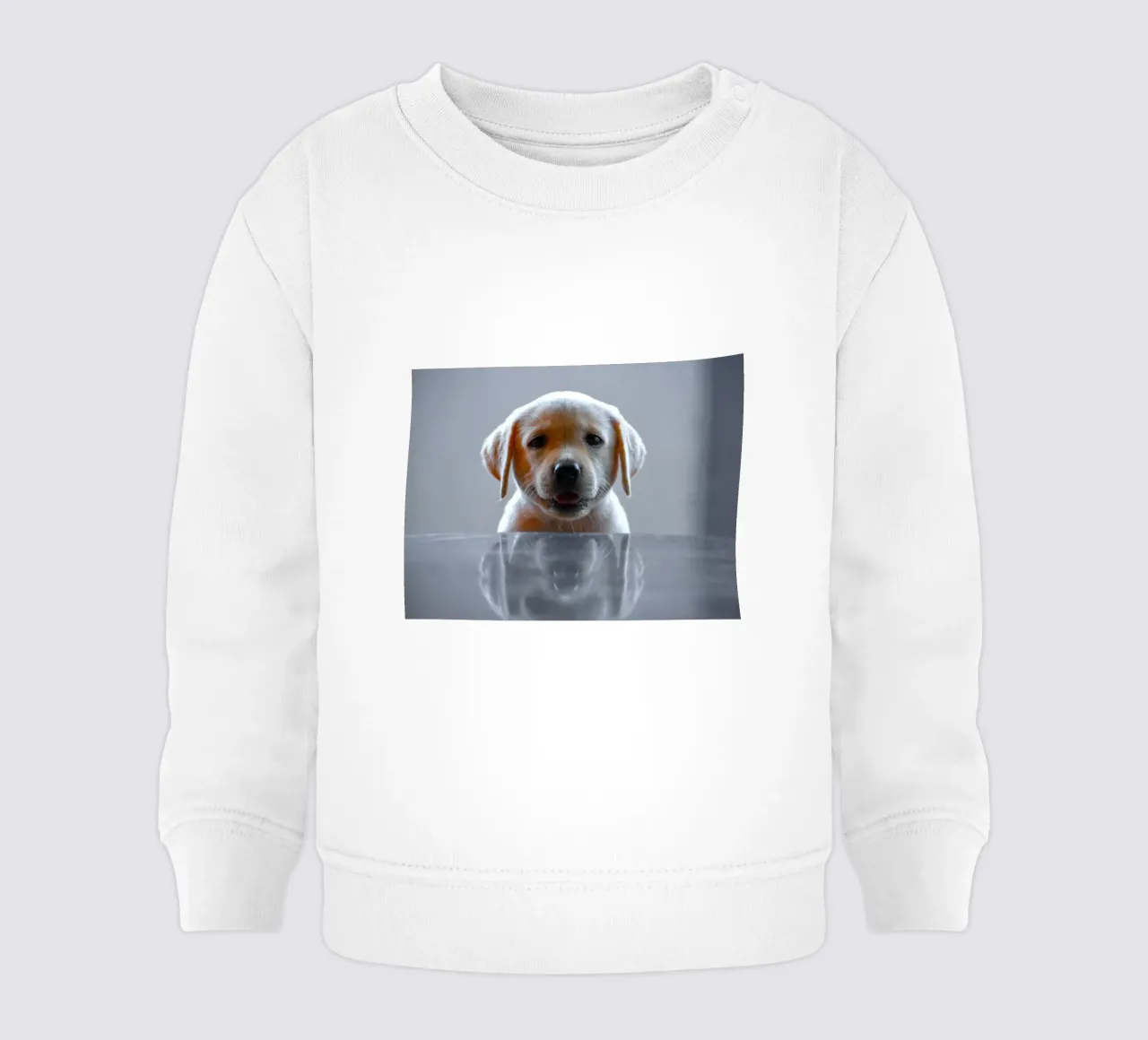 cucciolo di labrador riflessione felpa neonato da animal story home