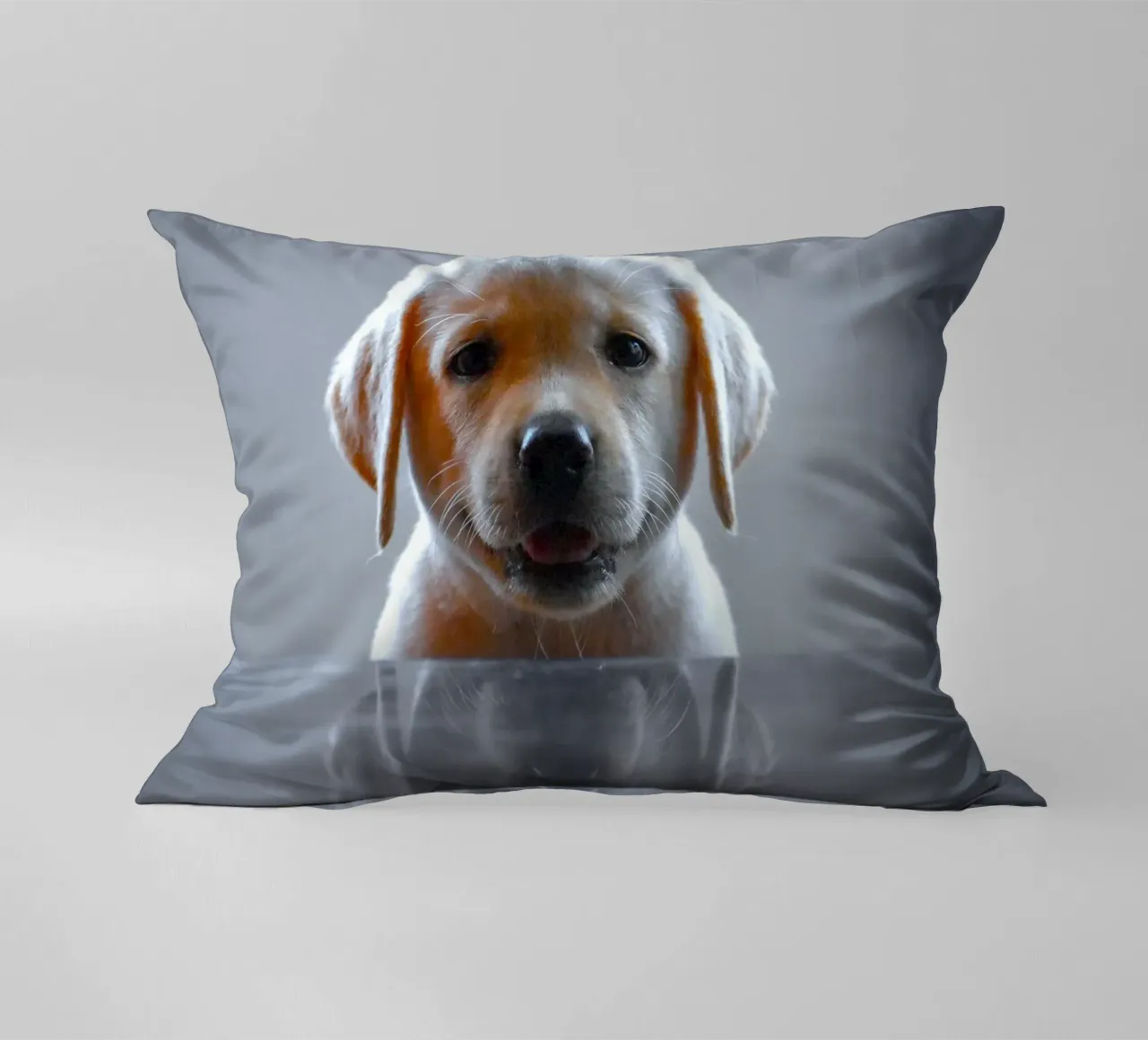 cucciolo di labrador riflessione cuscino da animal story home