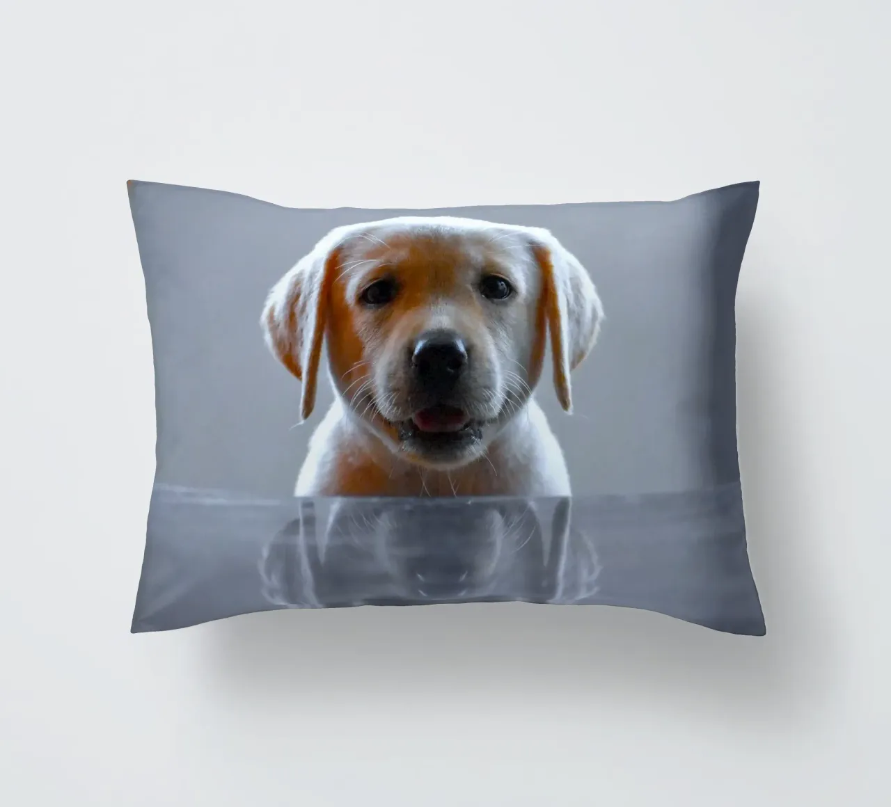 cucciolo di labrador riflessione cuscino da animal story home