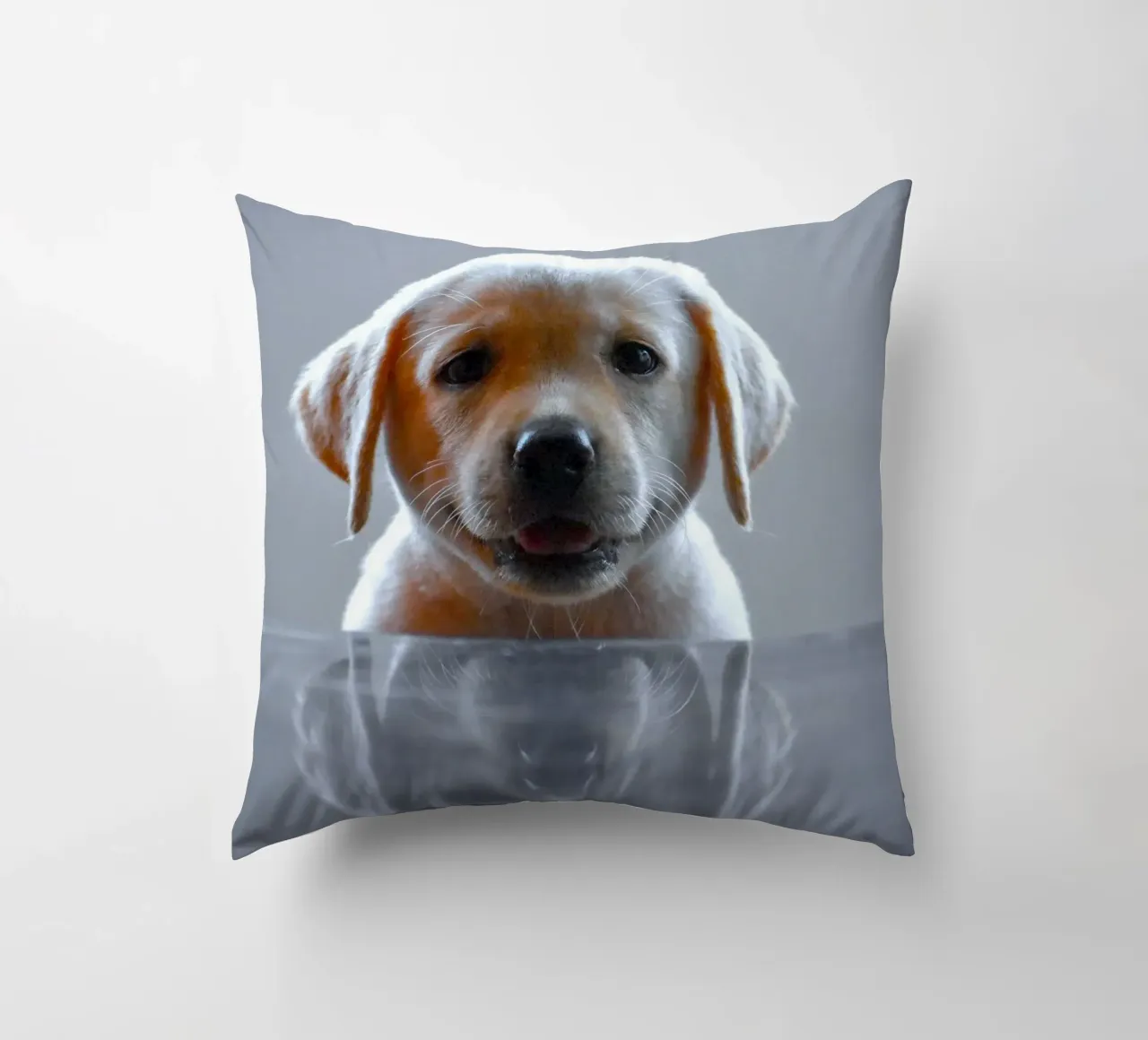 cucciolo di labrador riflessione cuscino da animal story home