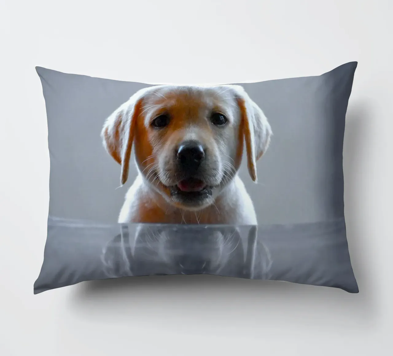 cucciolo di labrador riflessione cuscino da animal story home