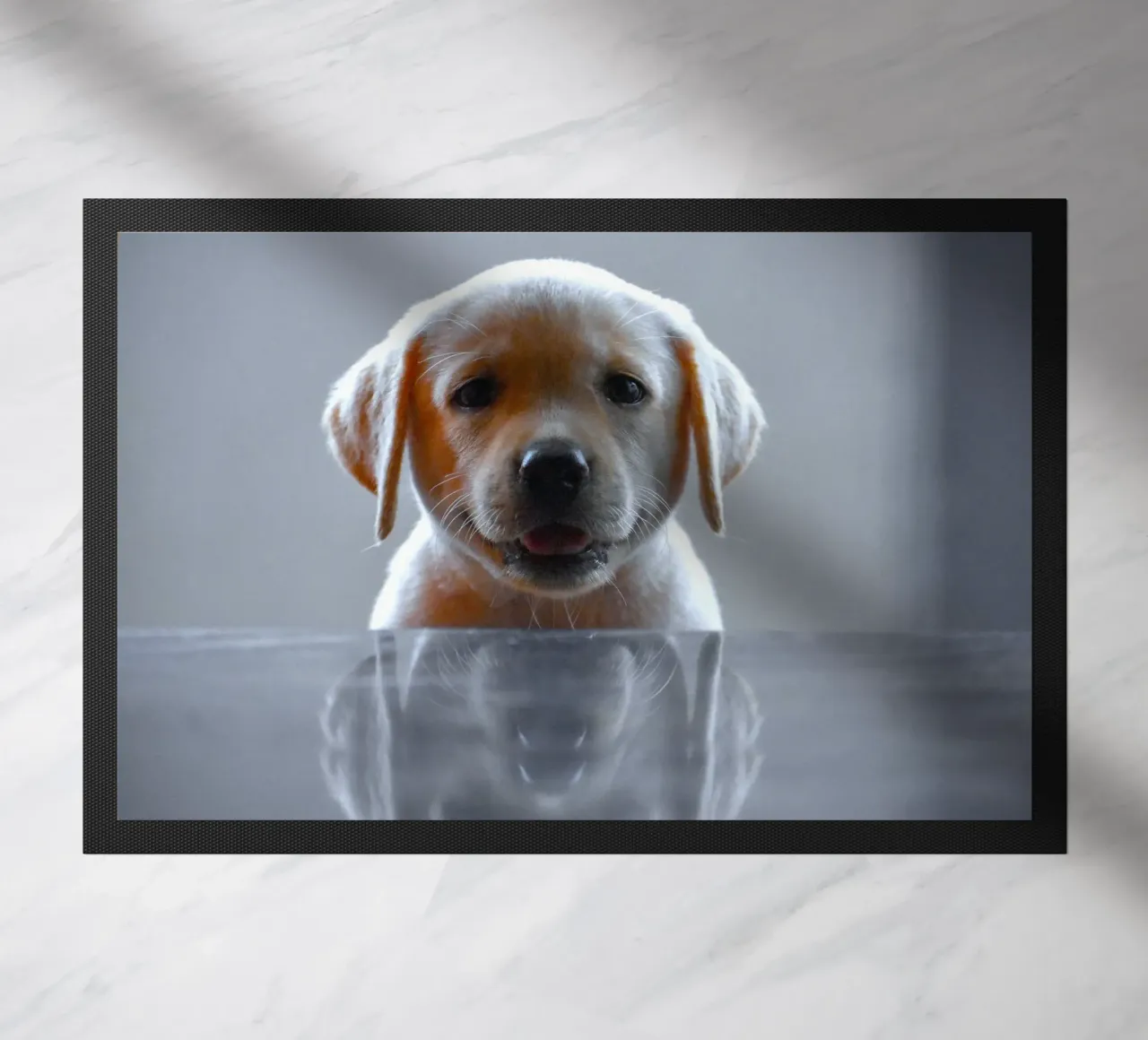 cucciolo di labrador riflessione zerbino da animal story home