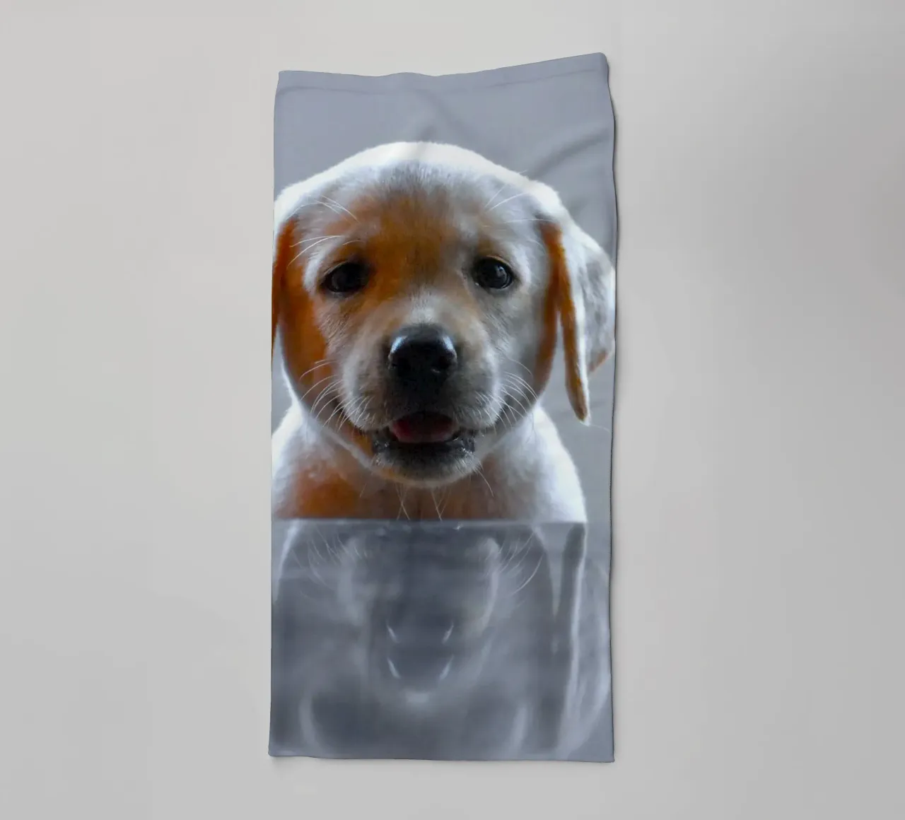puppy labrador reflection towel by animal story home