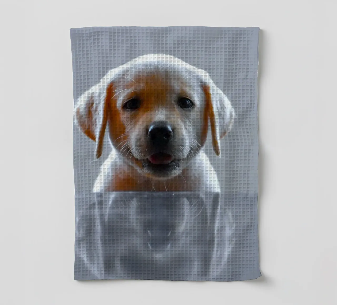 chiot labrador réflexion torchon de animal story home