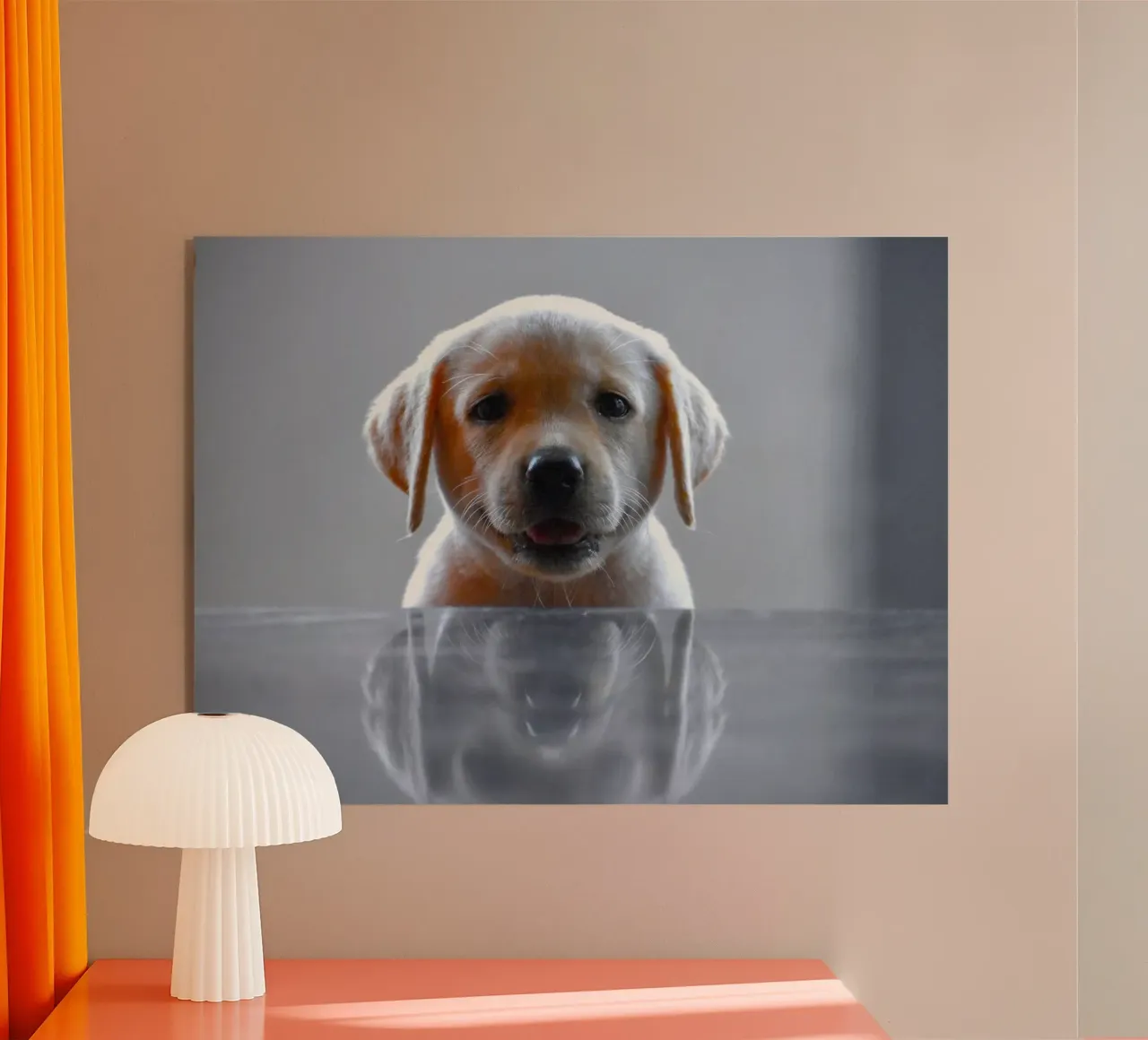 cucciolo di labrador riflessione plexiglass da animal story home