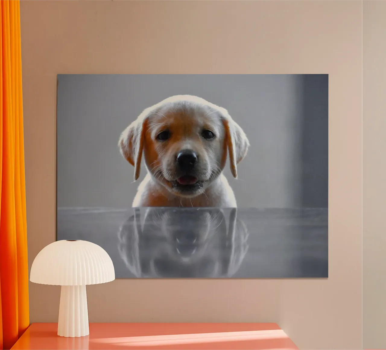 cucciolo di labrador riflessione carta hahnemühle da animal story home