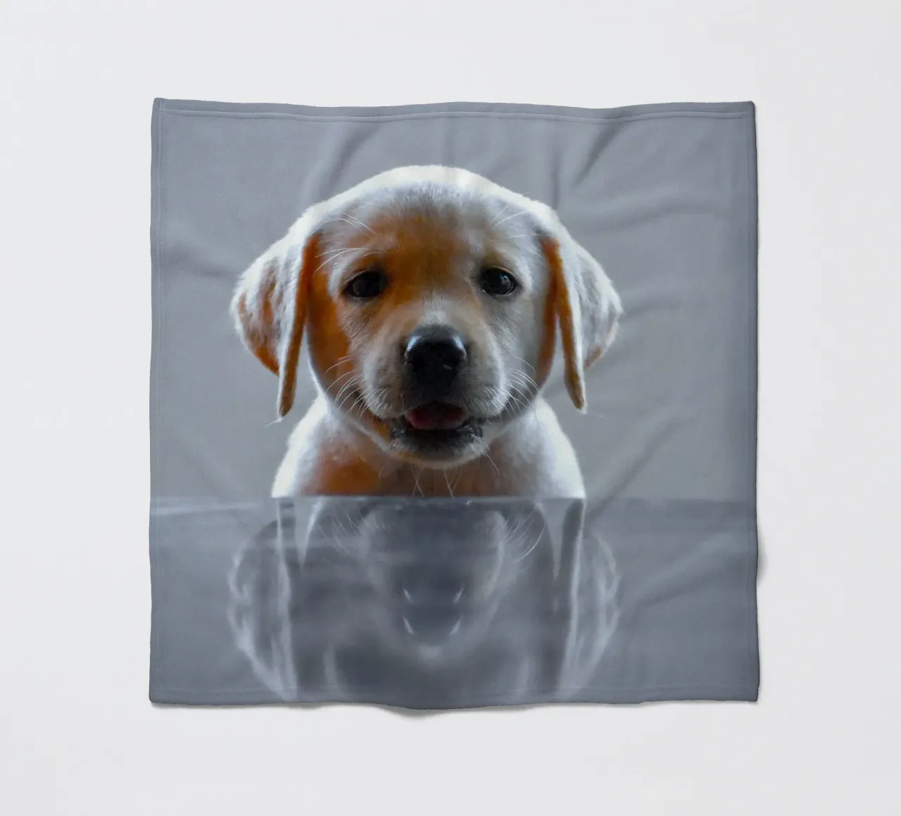 cucciolo di labrador riflessione coperta in pile da animal story home