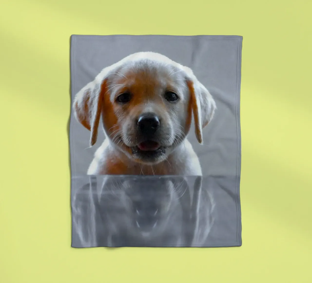 cucciolo di labrador riflessione coperta in pile da animal story home