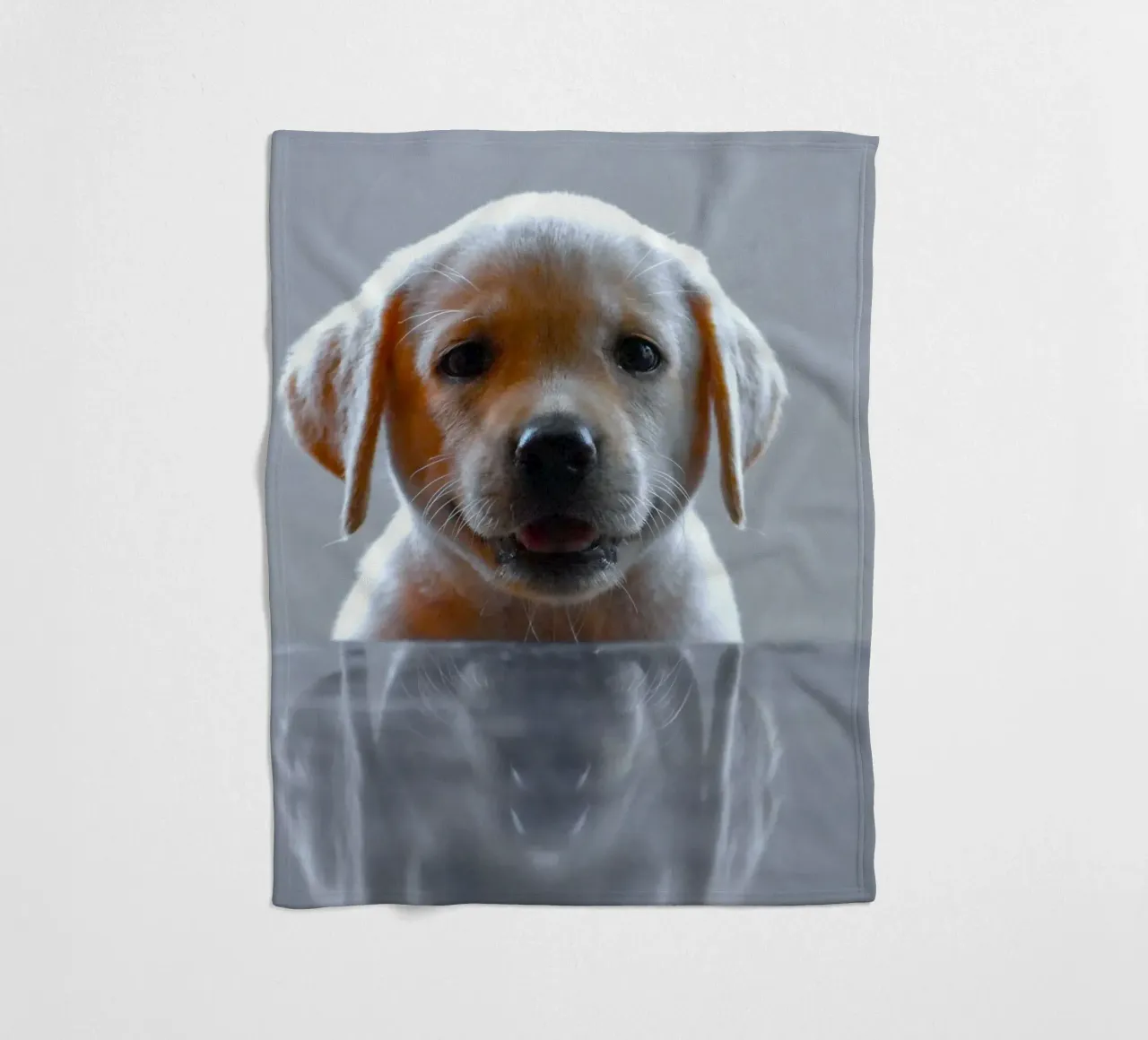 cucciolo di labrador riflessione coperta in pile da animal story home