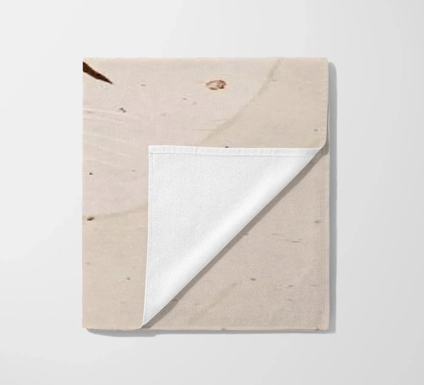 Bu telo mare da Duong Tu Tran