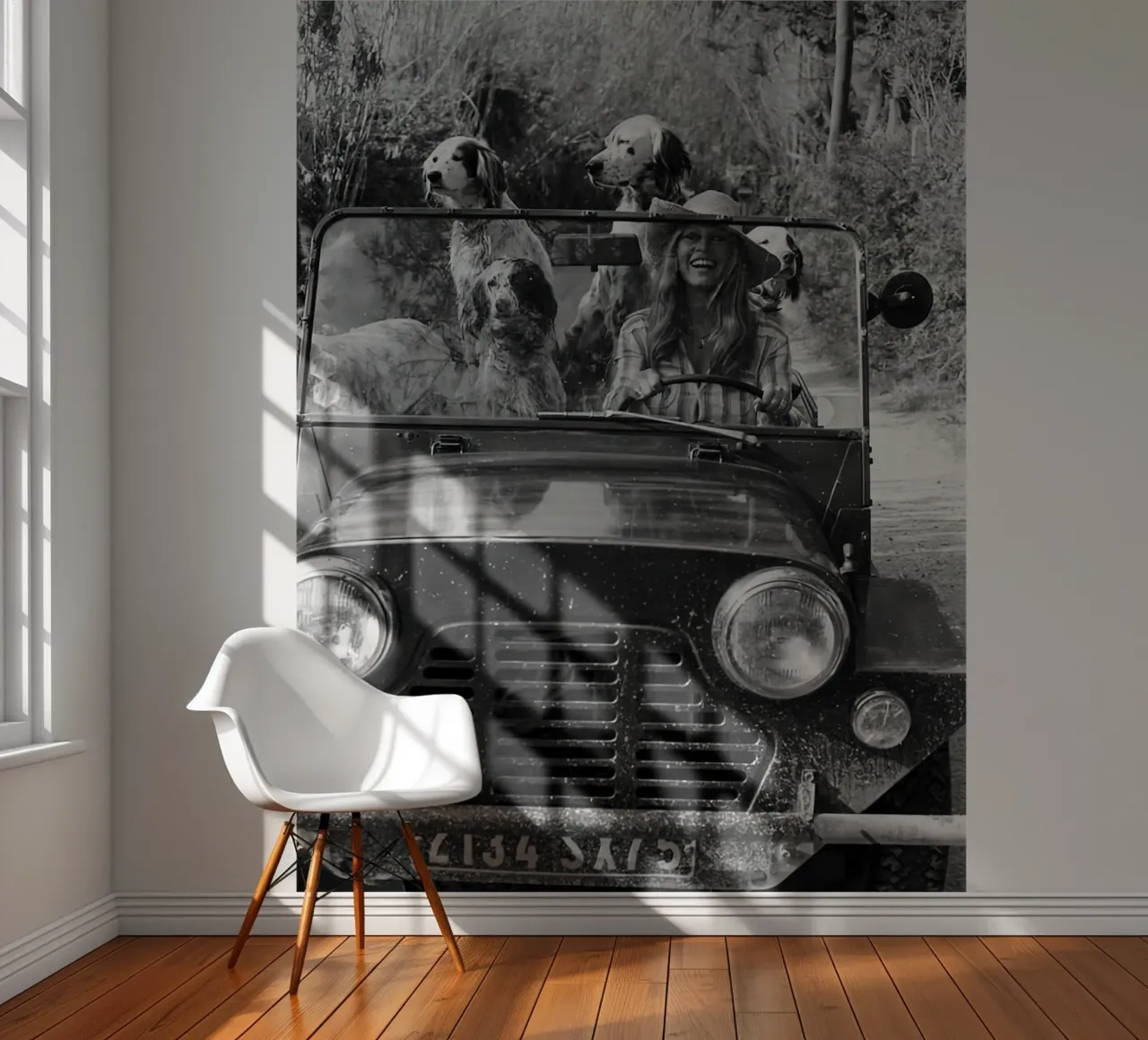 Animal Car Vintage photograph photo wallpaper by Black And White