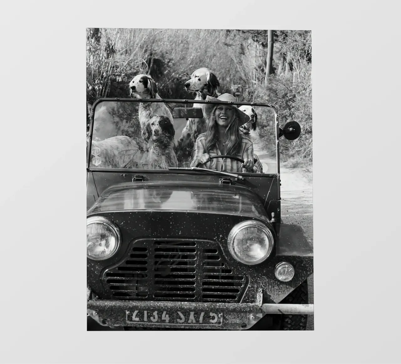 Animal Car Vintage photograph photo wallpaper by Black And White