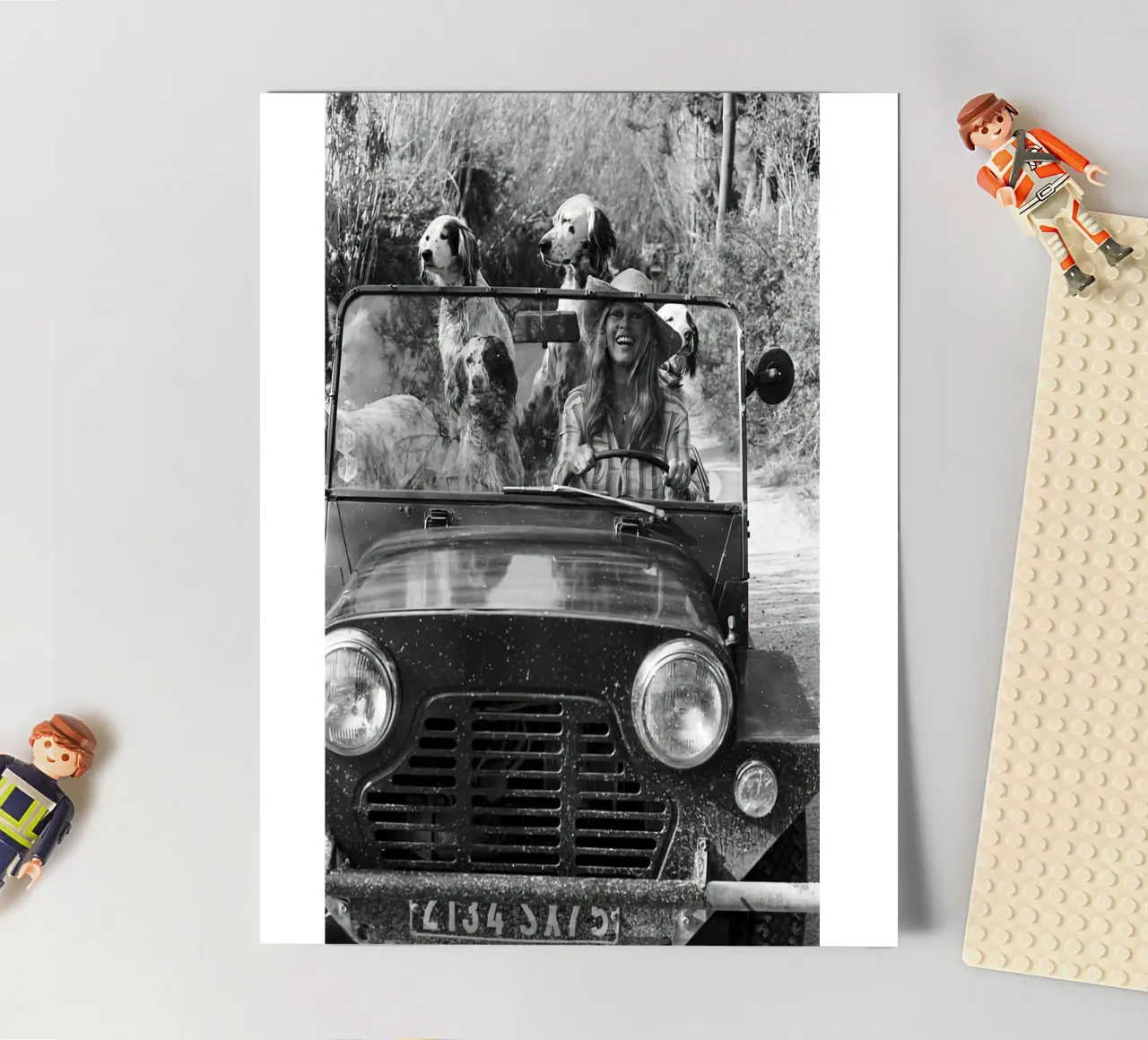 Animal Car Vintage photograph sticker sheet by Black And White