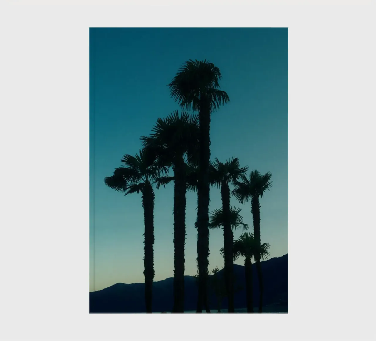 Ascona Palm Silhouettes notebook by FujiSwiss