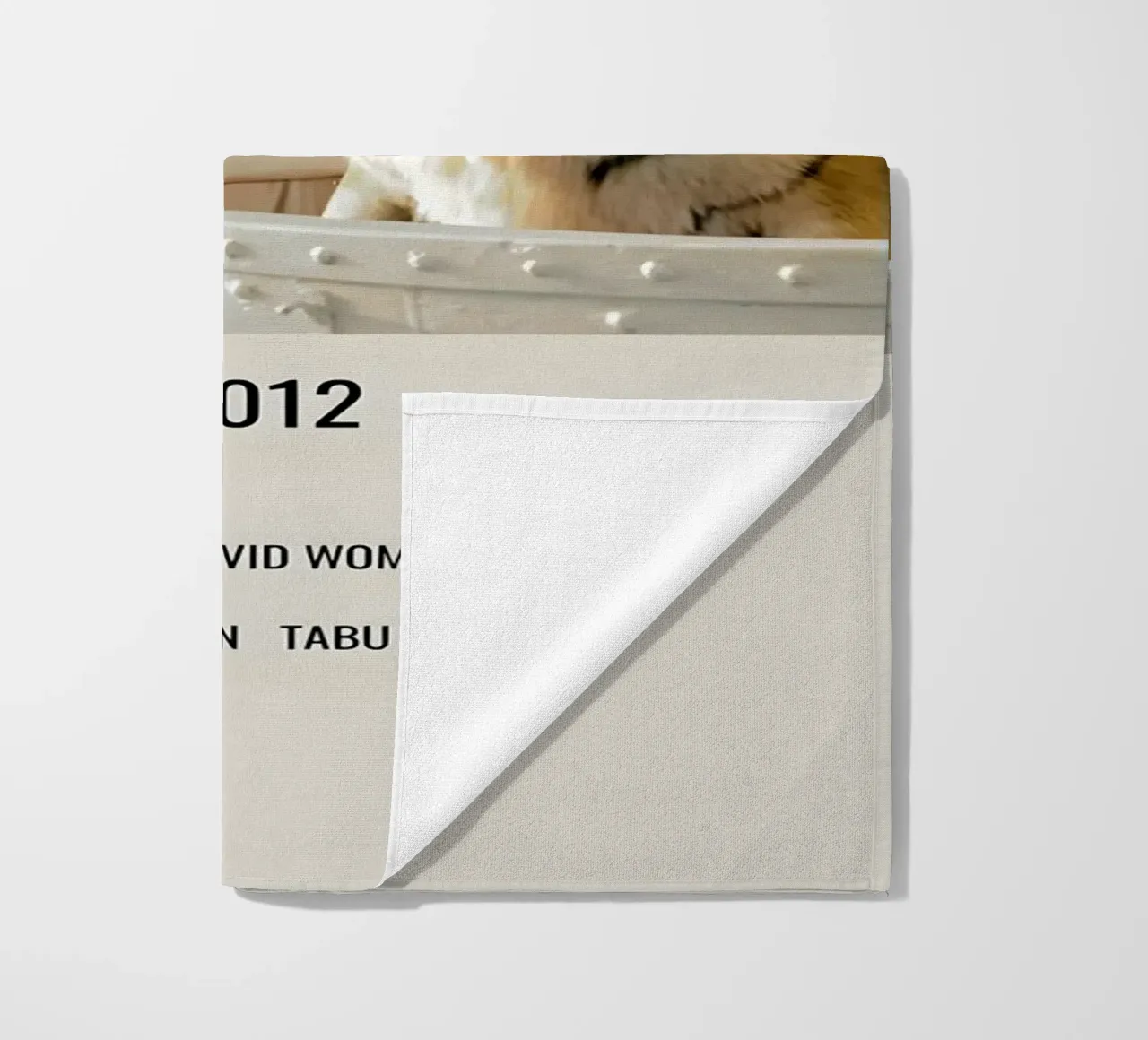 LIFE OF PI 2012 telo mare da MVFminimalist