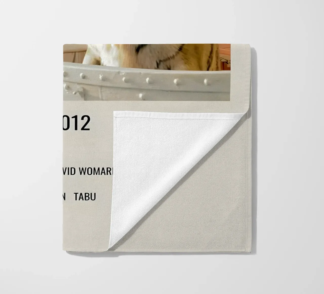 LIFE OF PI 2012 telo mare da MVFminimalist