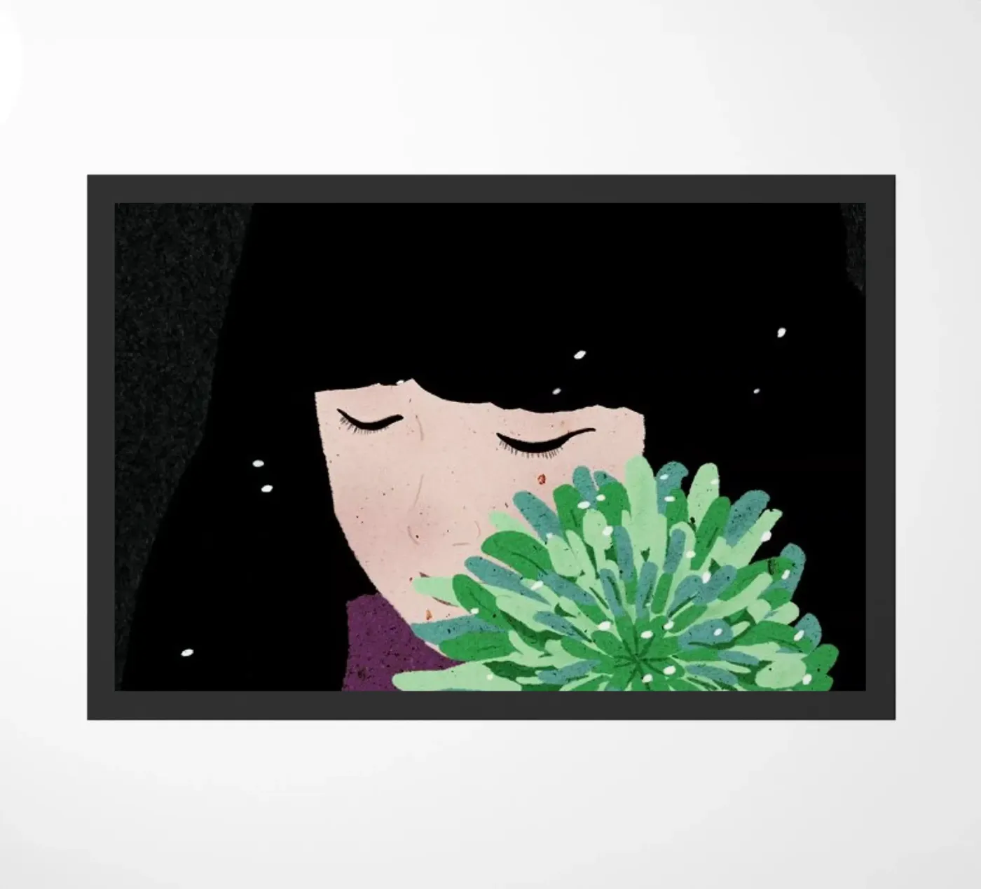 Chrysanthemum zerbino da Duong Tu Tran