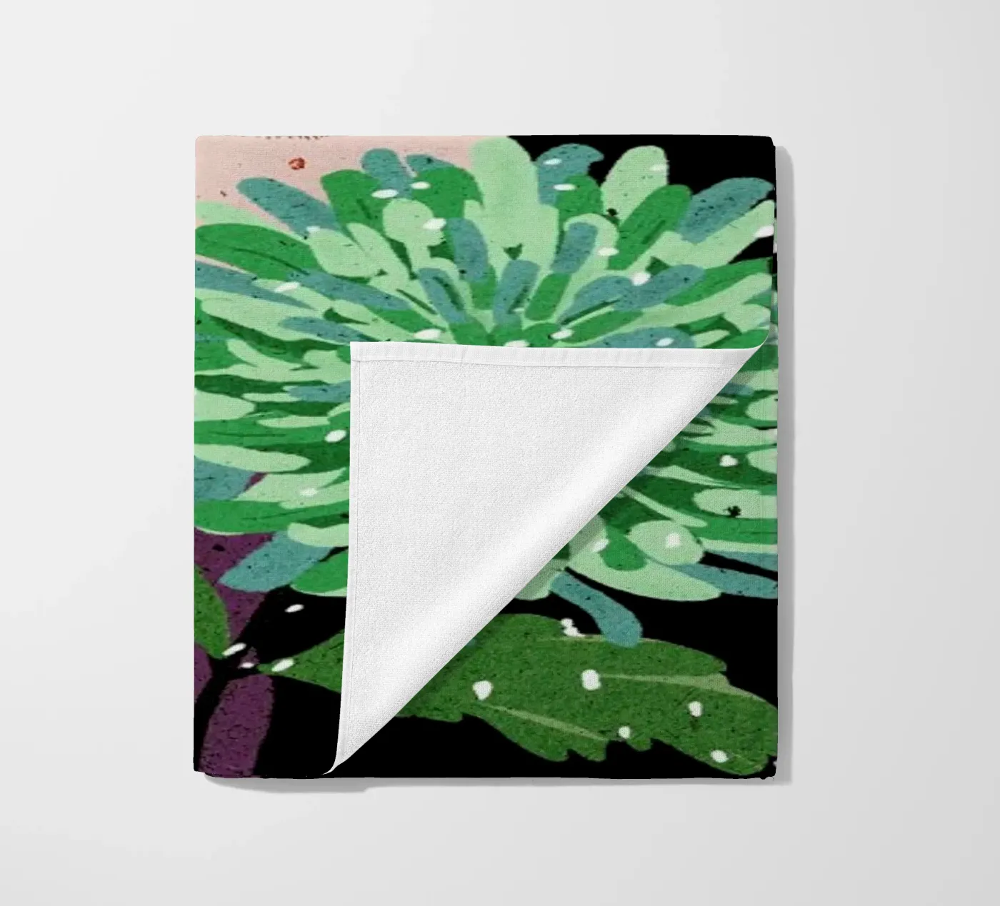 Chrysanthemum telo mare da Duong Tu Tran