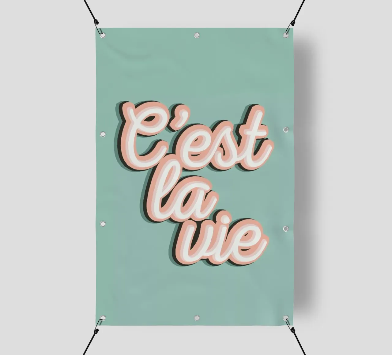 C'est La Vie pvc cover by The Native State