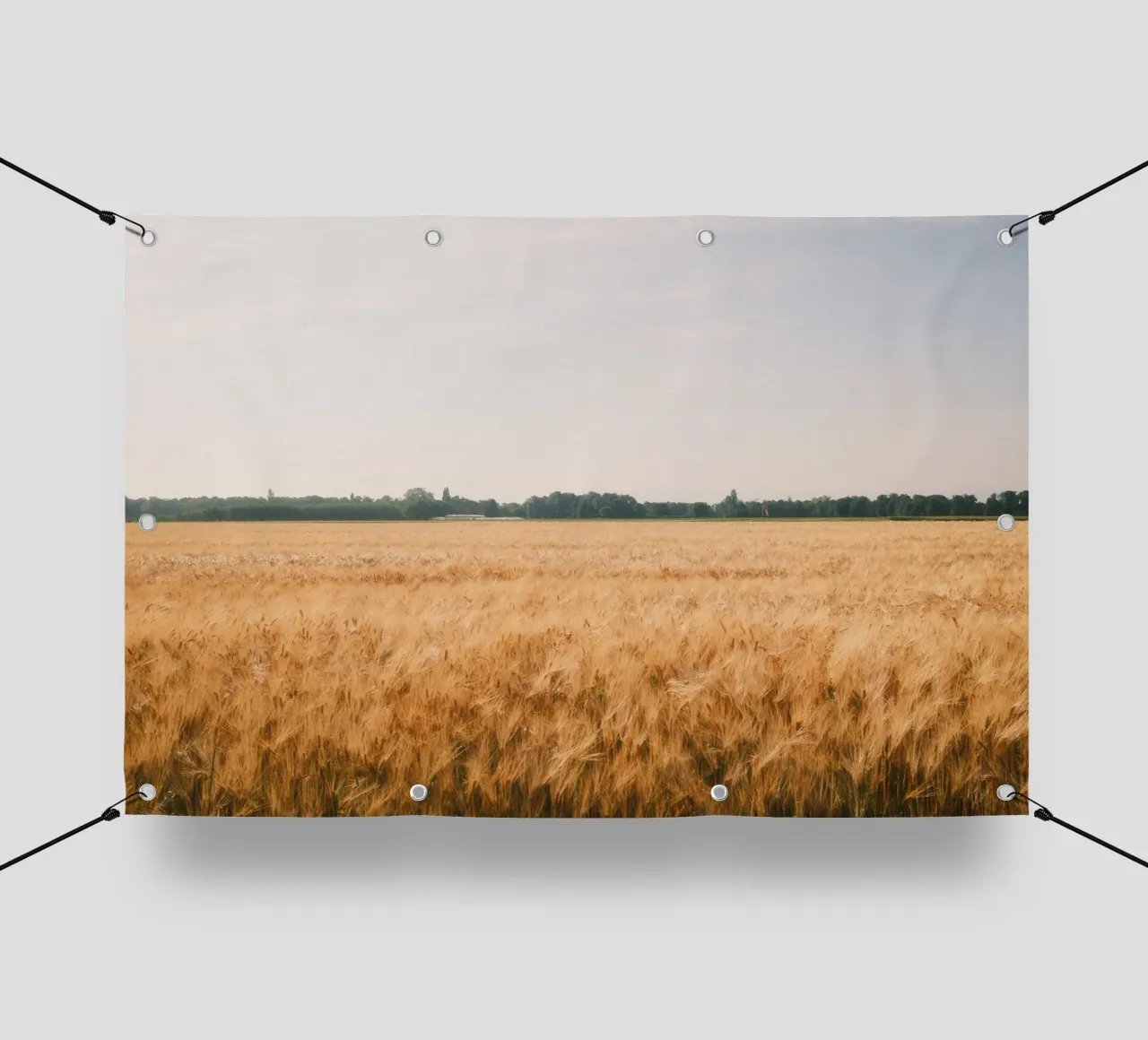 Golden Wheat Fields telo in pvc da FujiSwiss