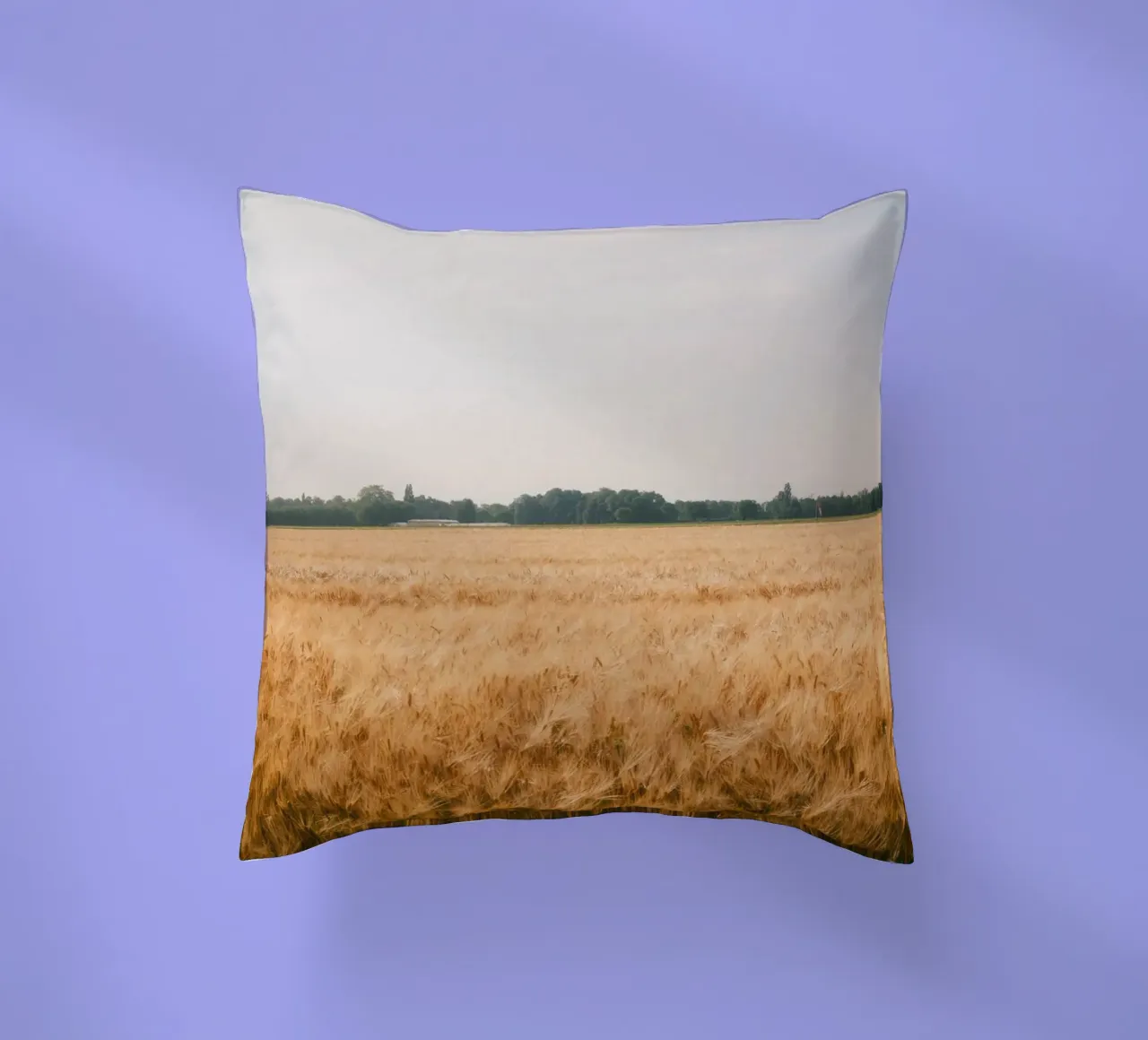 Golden Wheat Fields cuscino da FujiSwiss