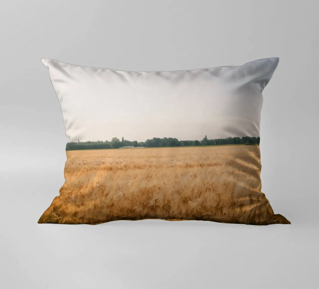 Golden Wheat Fields cuscino da FujiSwiss