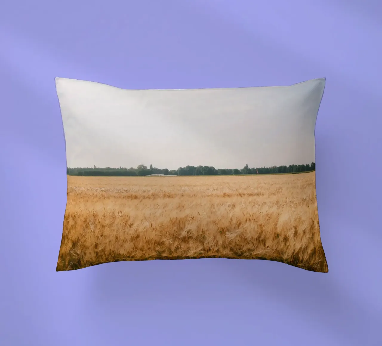 Golden Wheat Fields cuscino da FujiSwiss