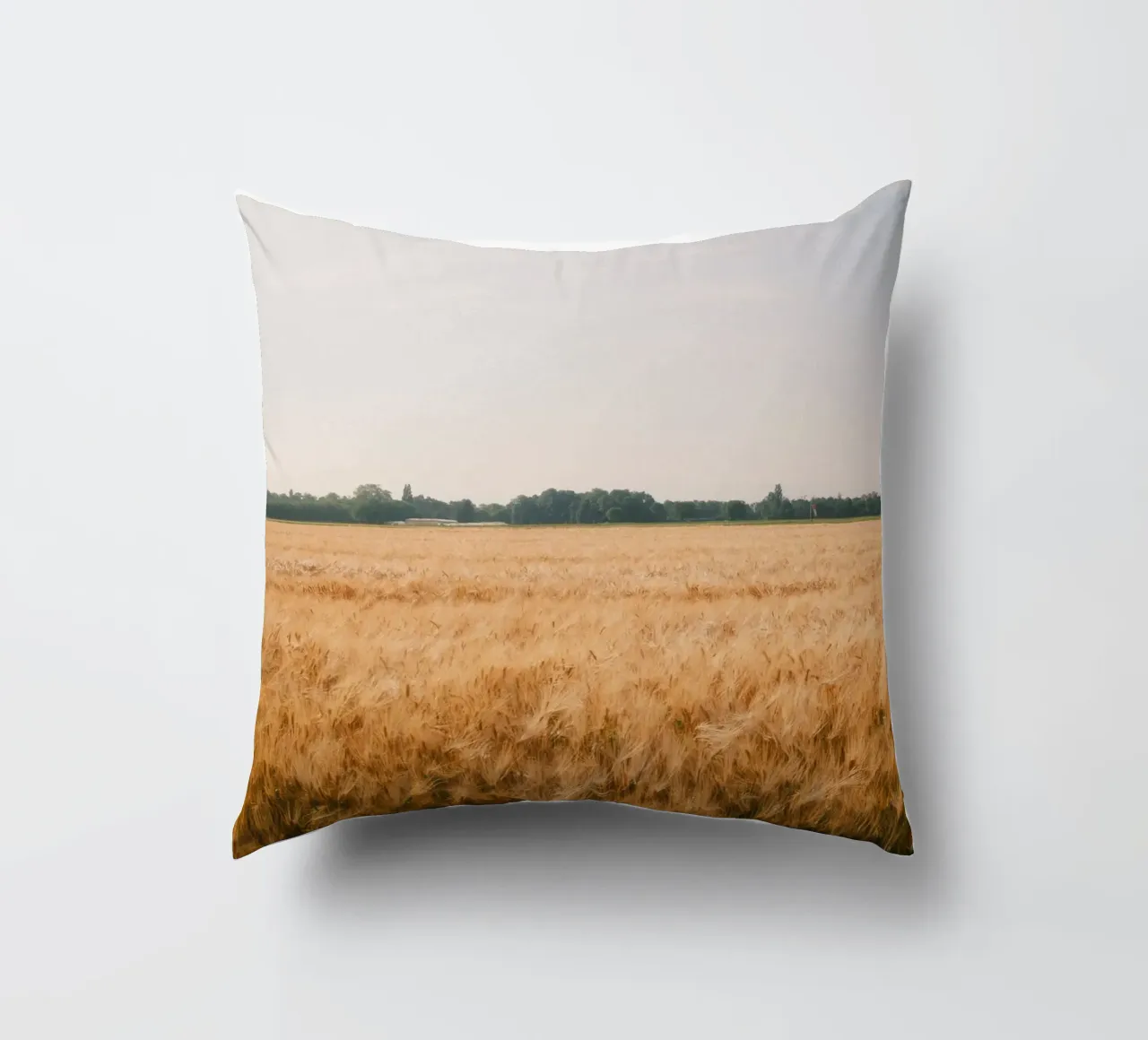 Golden Wheat Fields cuscino da FujiSwiss