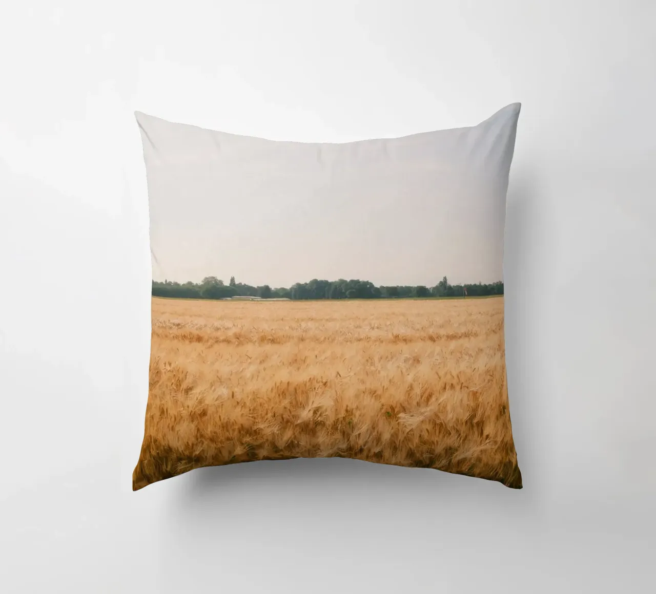 Golden Wheat Fields cuscino da FujiSwiss