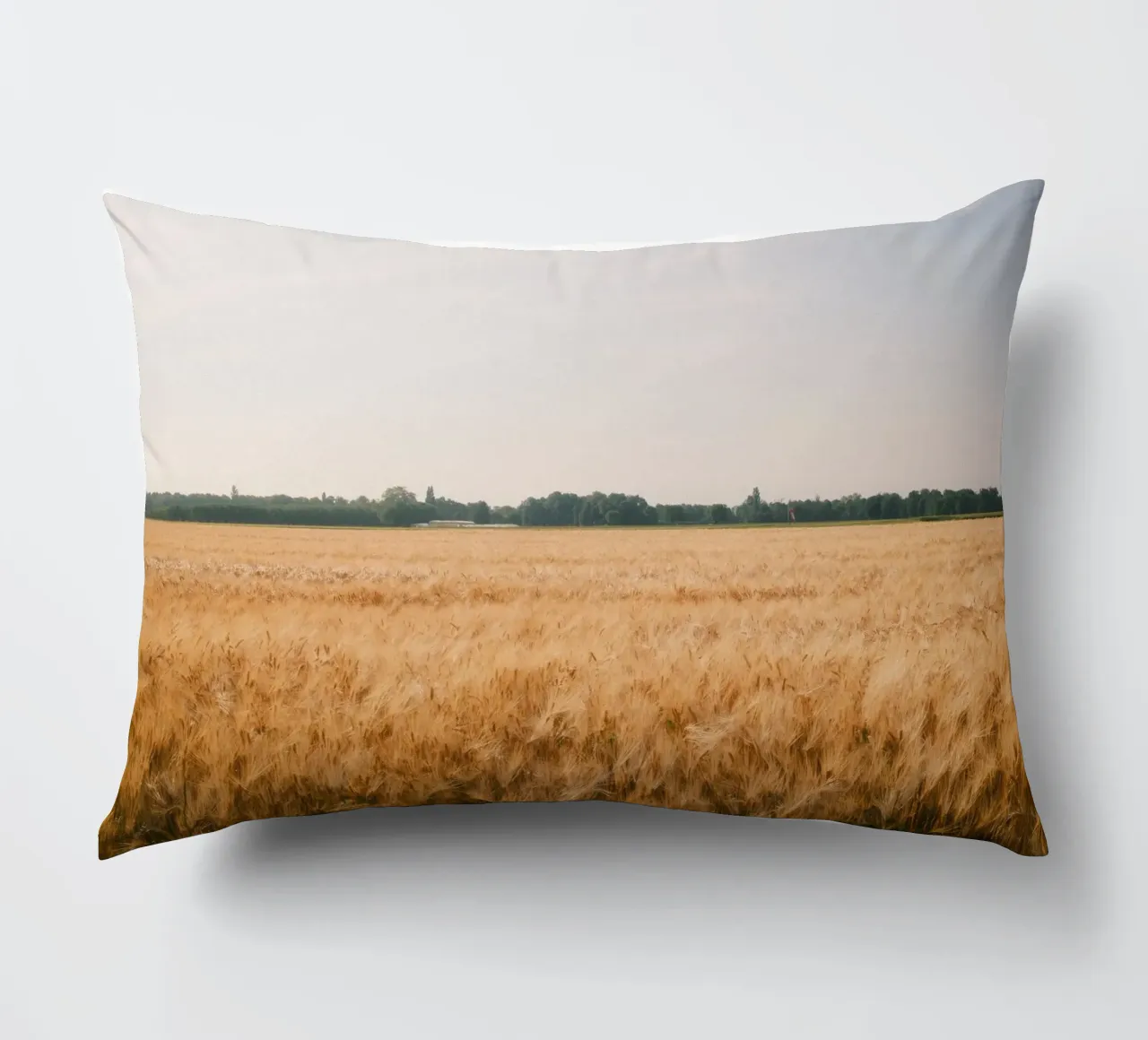 Golden Wheat Fields cuscino da FujiSwiss