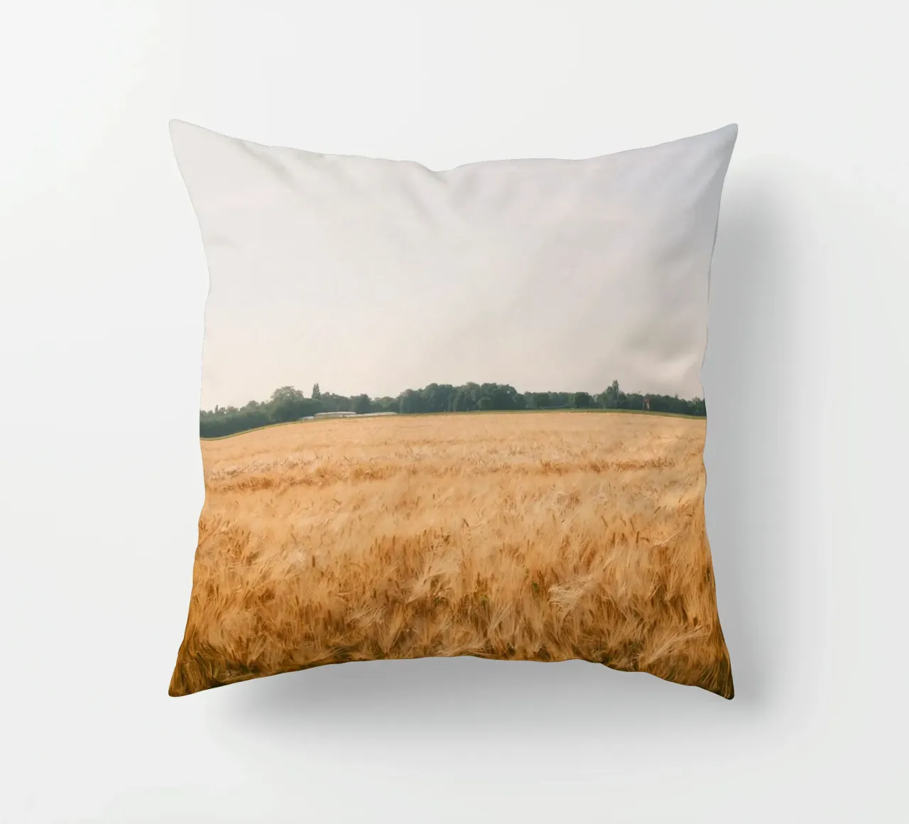 Golden Wheat Fields cuscino da FujiSwiss