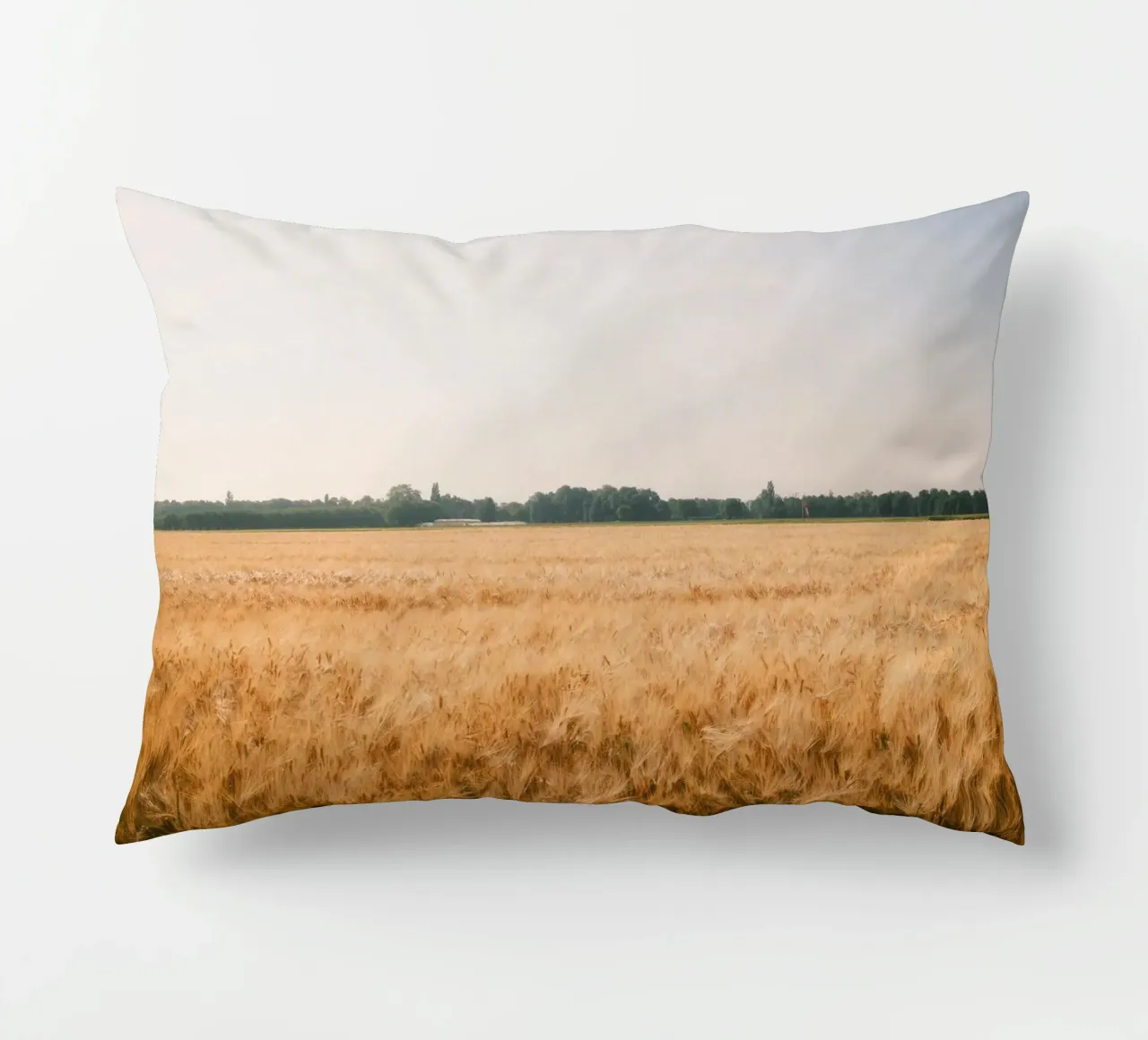 Golden Wheat Fields cuscino da FujiSwiss