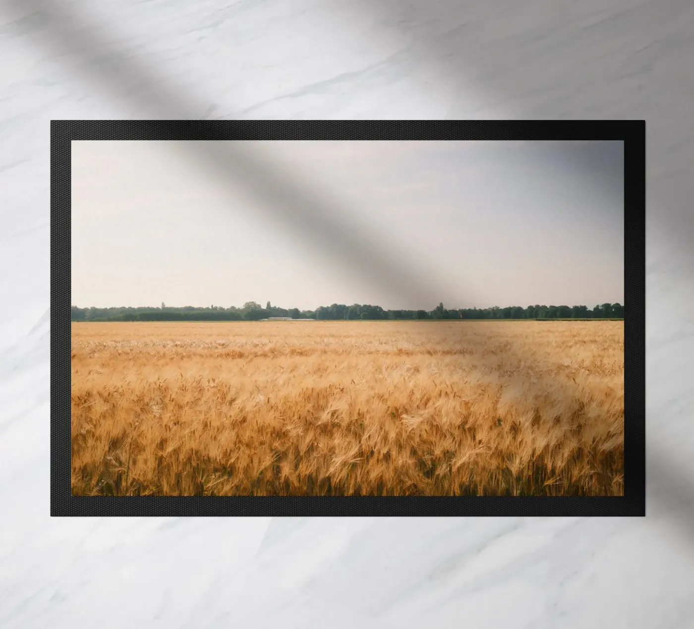 Golden Wheat Fields zerbino da FujiSwiss