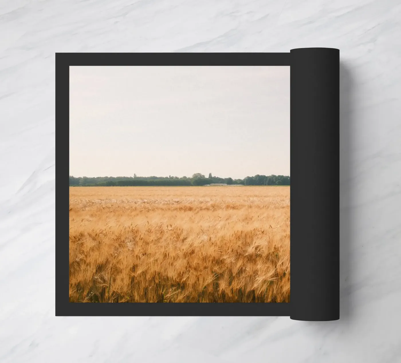 Golden Wheat Fields zerbino da FujiSwiss