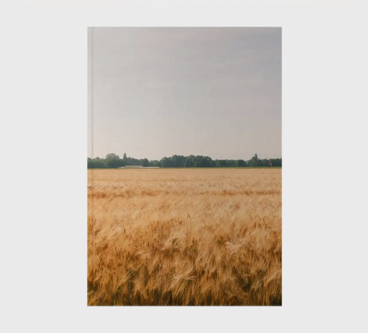 Golden Wheat Fields notebook by FujiSwiss