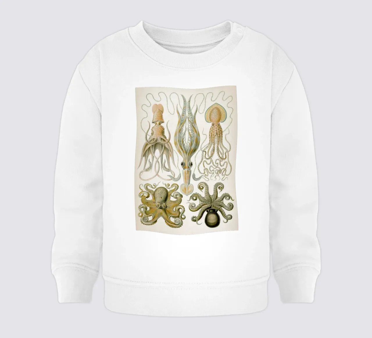 Vintage Haeckel 1 Tafel 54 Trichterkraken baby sweatshirt by Vintage Print Collection