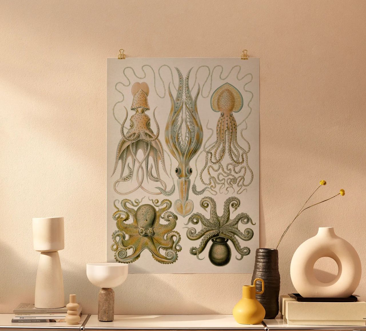 Vintage Haeckel 1 Tafel 54 Trichterkraken poster de Vintage Print Collection