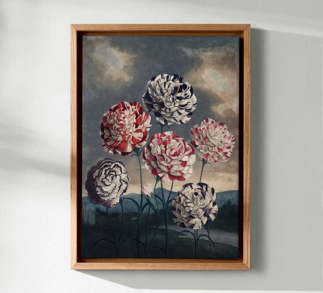 Vintage Thornton 6 Carnations tela con Cornice a cassetta da Vintage Print Collection