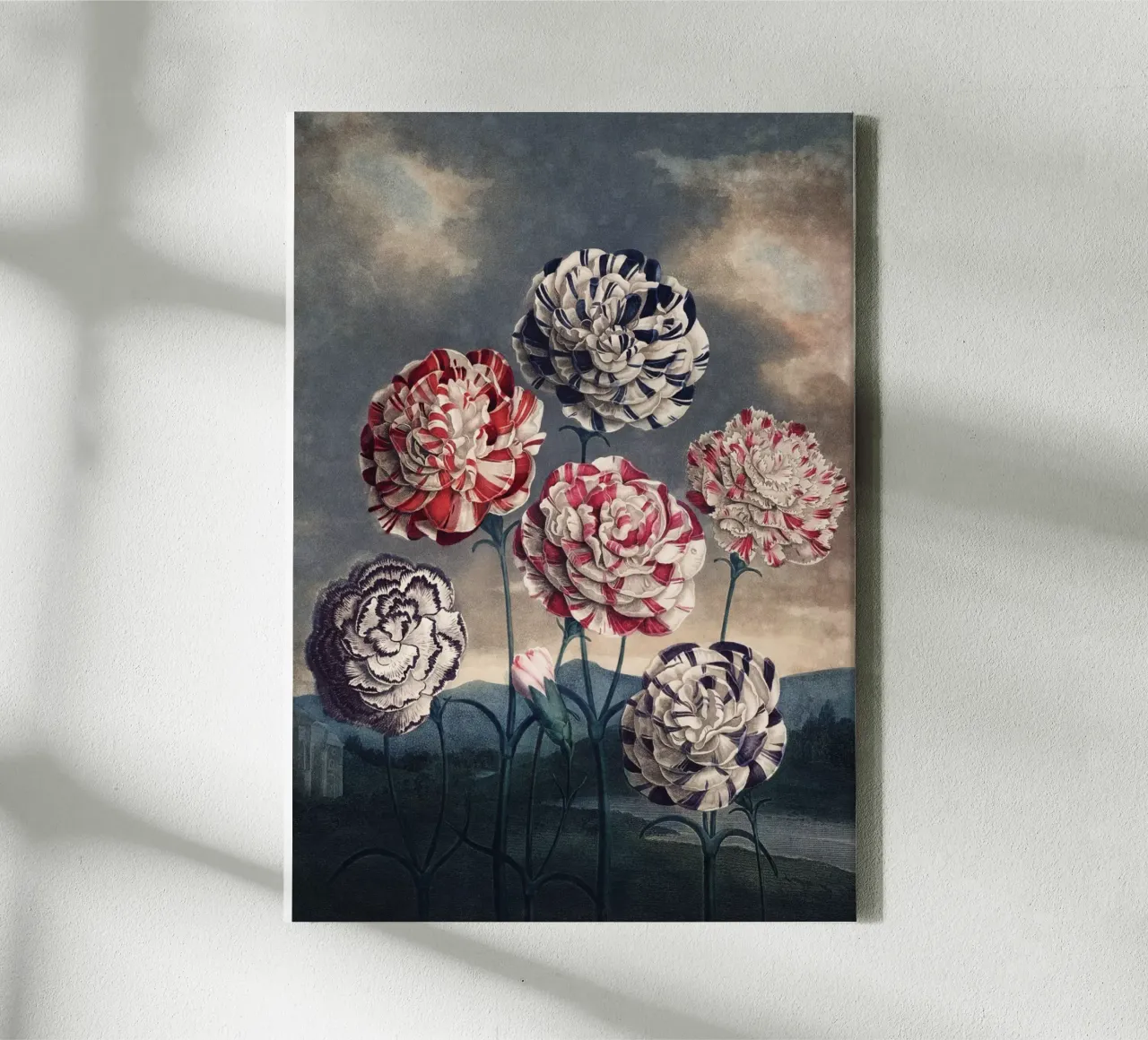 Vintage Thornton 6 Carnations tela con Cornice a cassetta da Vintage Print Collection