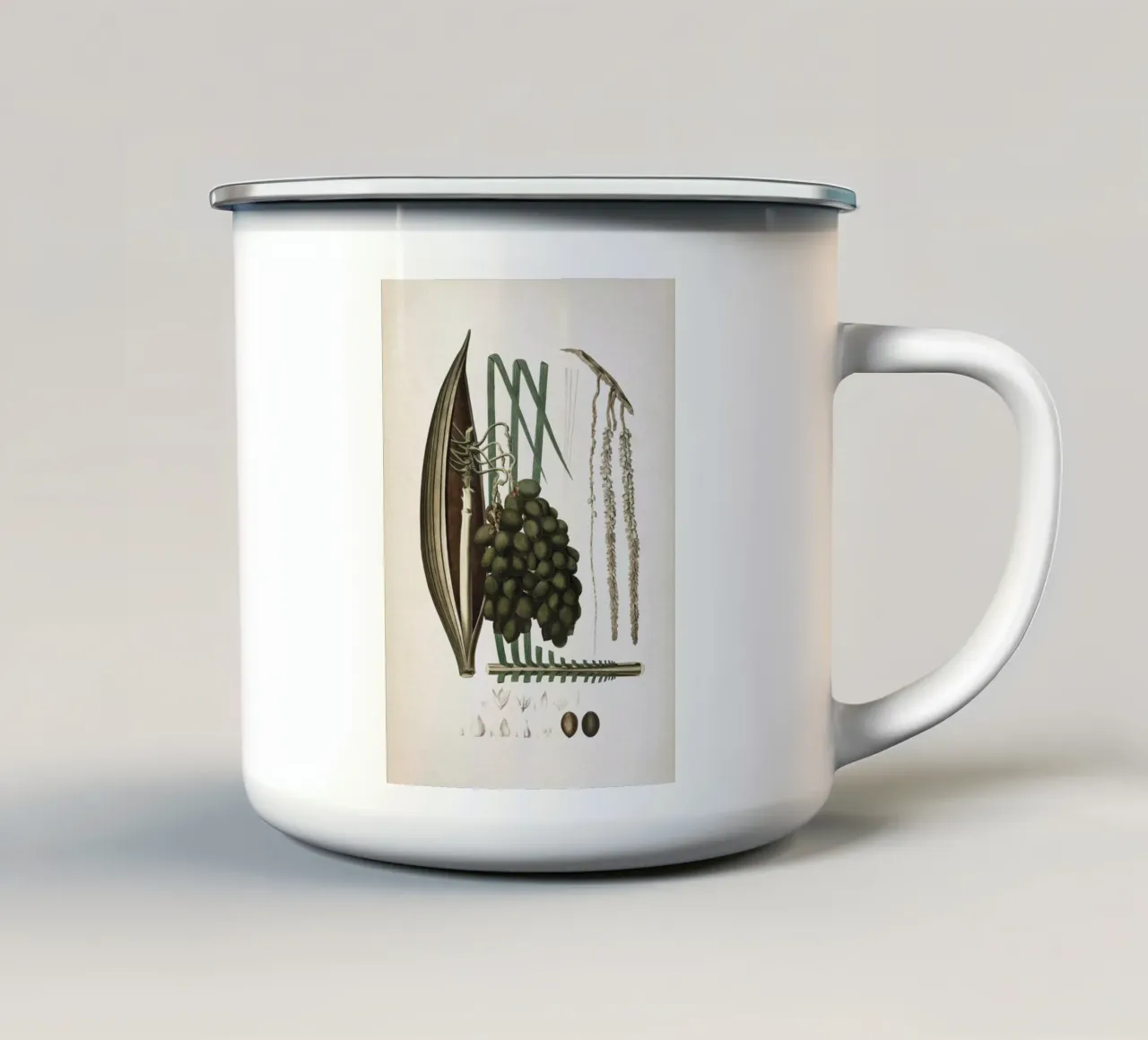 Vintage Martius 5 Cocos Botryophora tazza in smalto da Vintage Print Collection