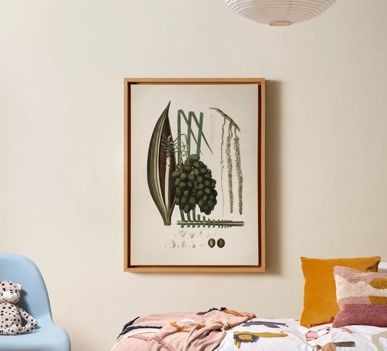 Vintage Martius 5 Cocos Botryophora tela con Cornice a cassetta da Vintage Print Collection