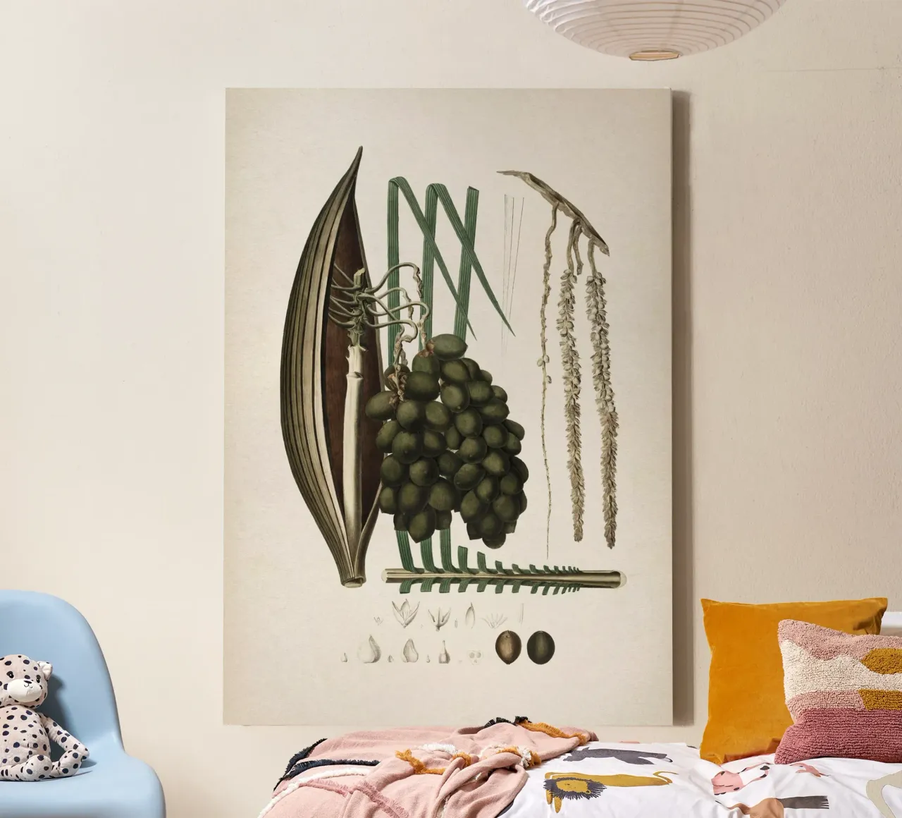 Vintage Martius 5 Cocos Botryophora tela con Cornice a cassetta da Vintage Print Collection