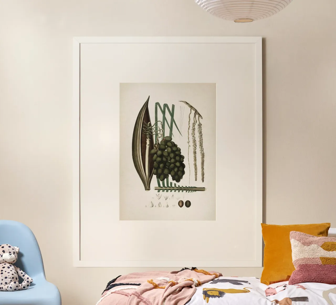 Vintage Martius 5 Cocos Botryophora poster da Vintage Print Collection