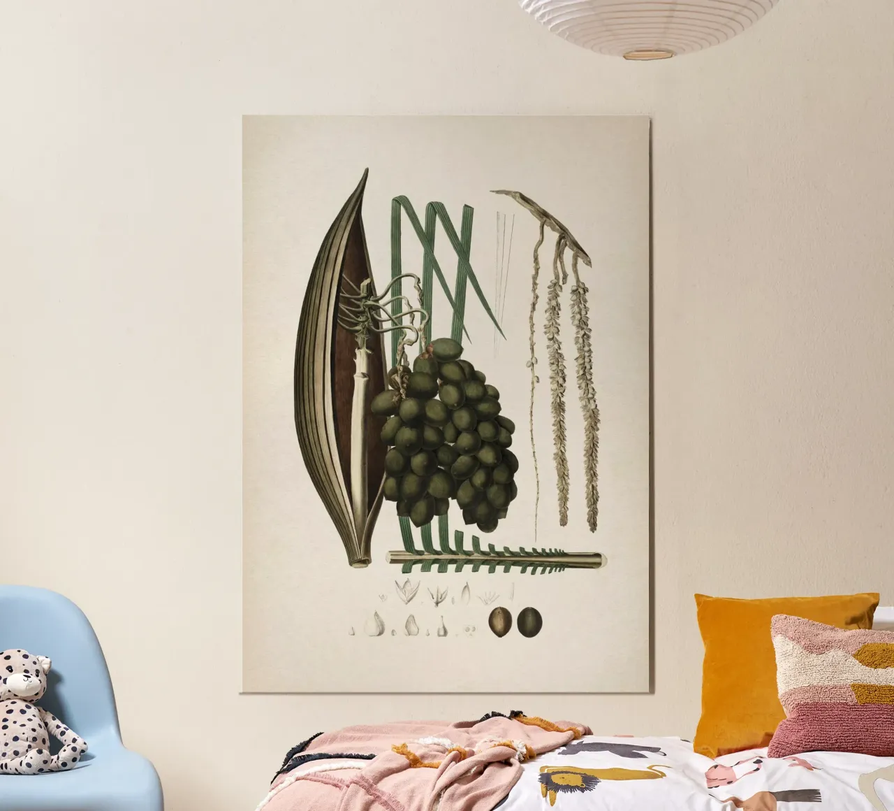 Vintage Martius 5 Cocos Botryophora poster da Vintage Print Collection