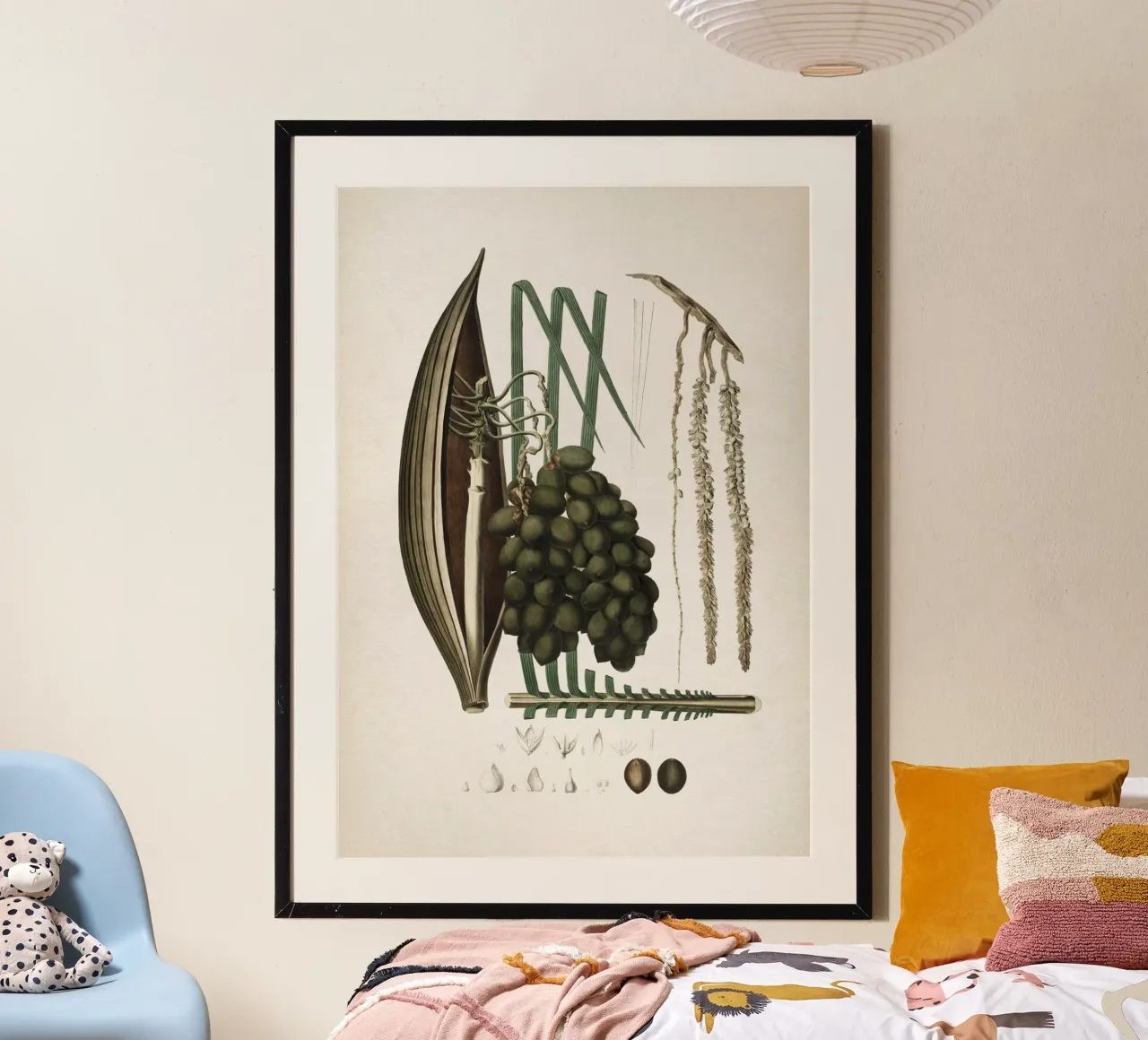 Vintage Martius 5 Cocos Botryophora poster da Vintage Print Collection